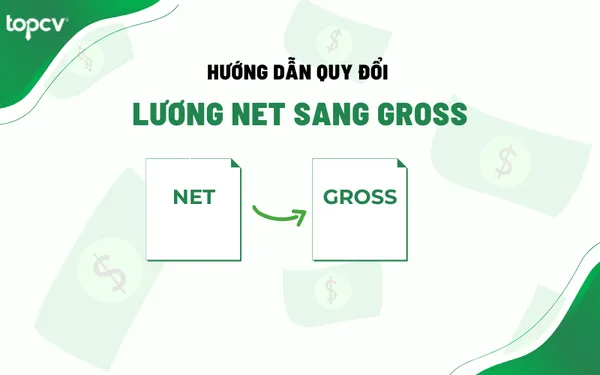 Lương Net là gì? Quy đổi lương Net sang Gross như thế nào?